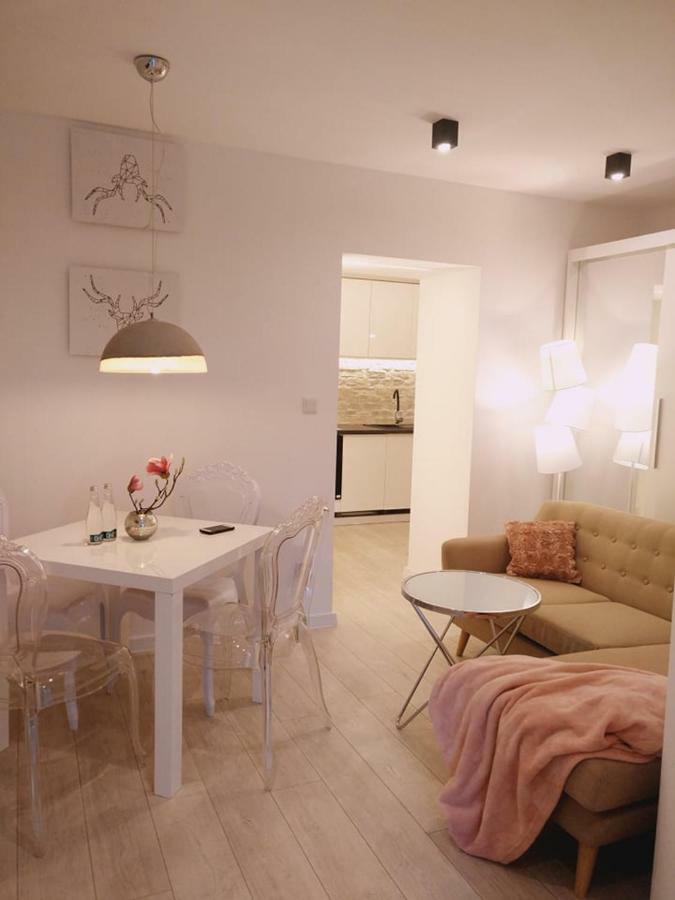 Apartament 100 Apartamenty No 1 Ogrod W Centrum Stettin Eksteriør billede
